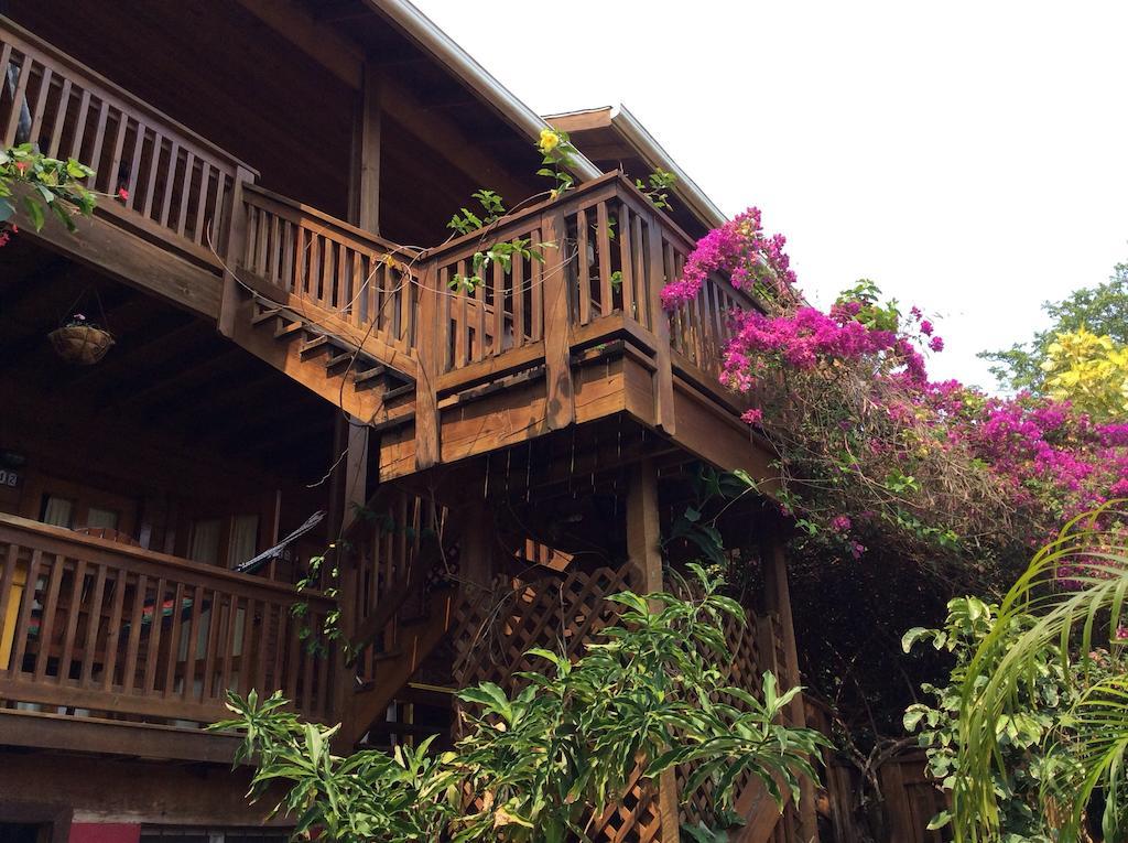 Sea Breeze Inn West End Exterior foto